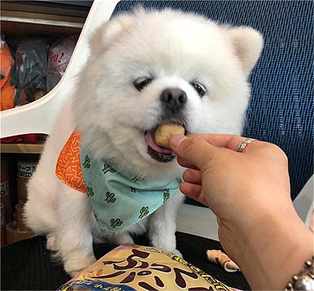 20221107120426_49476