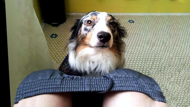 20221107124749_27405 20221107124749_27405