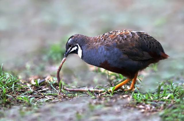 20221107132621_88754 20221107132621_88754