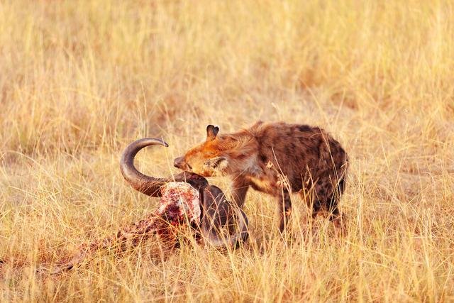 20221107133202_39318 20221107133202_39318