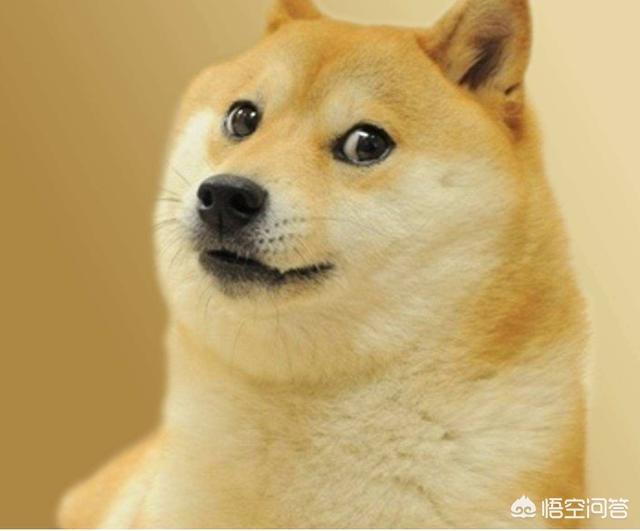 20221107142527_21273 20221107142527_21273