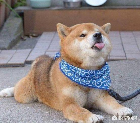 20221107142527_48488 20221107142527_48488