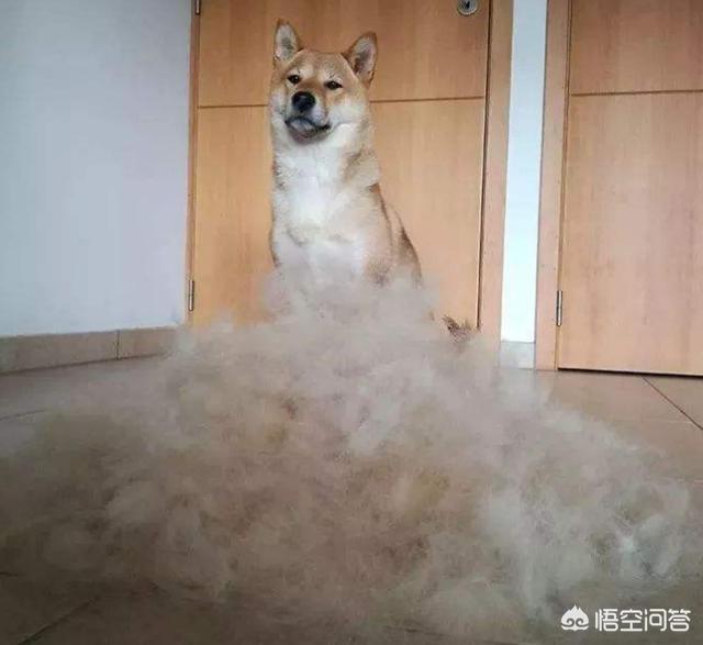 20221107142528_38663 20221107142528_38663