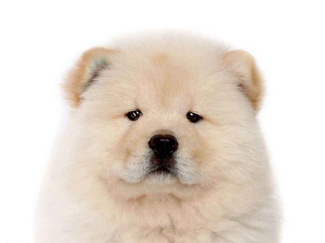 20221107150002_29904 20221107150002_29904