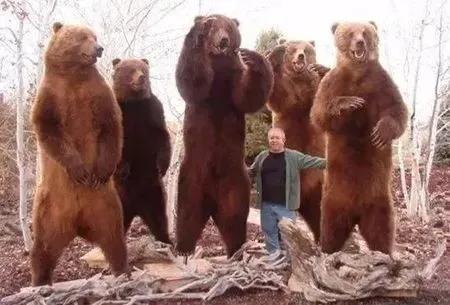 20221107160231_15427