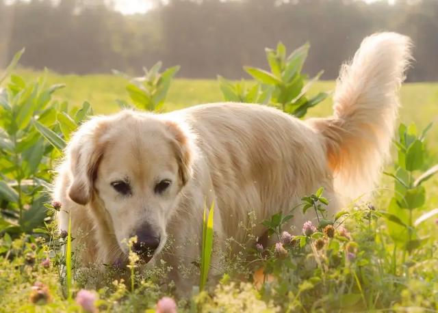 20221107161554_27676 20221107161554_27676