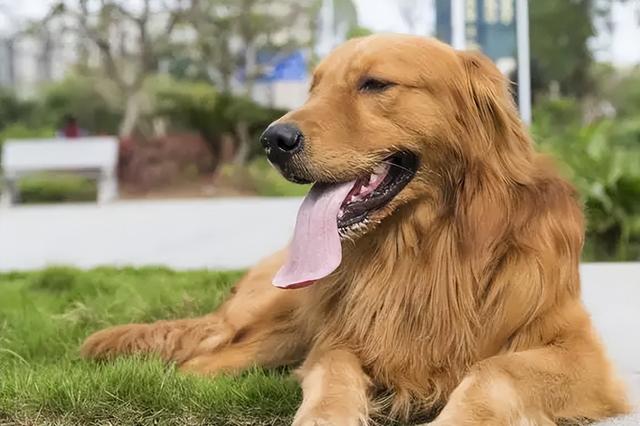 20221107161554_31654 20221107161554_31654