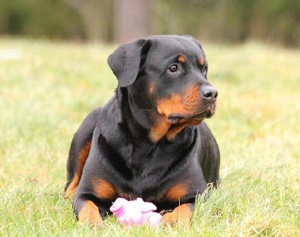 20221107161719_29750