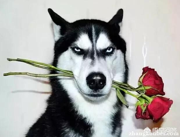 20221107171204_48316 20221107171204_48316