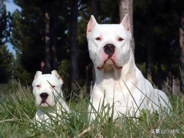 20221107171205_32511 20221107171205_32511