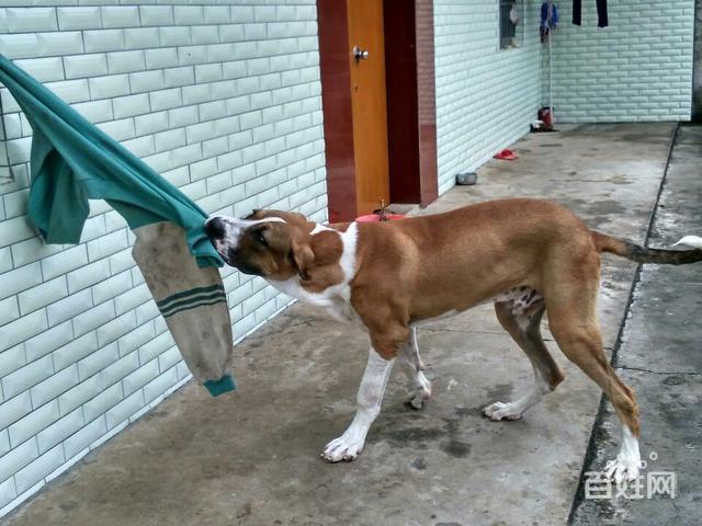 20221107181937_70456 20221107181937_70456