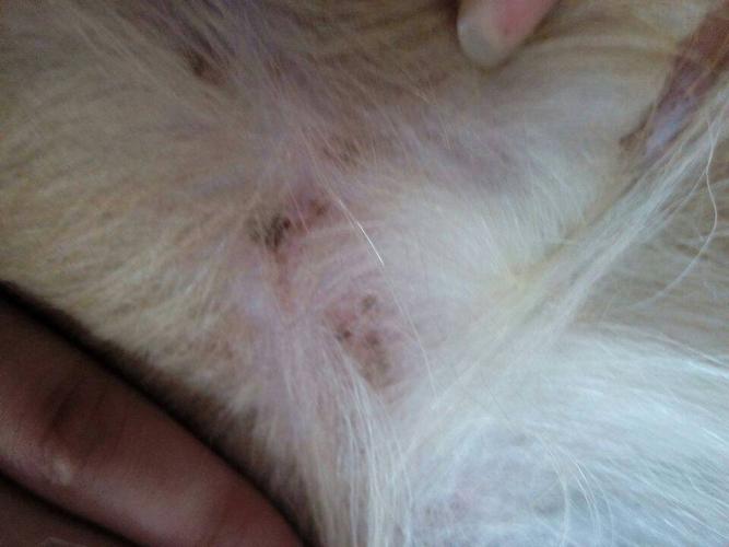 20221108090057_42488 20221108090057_42488