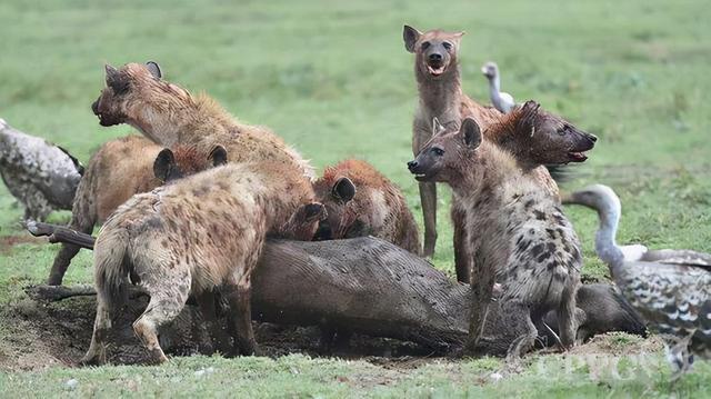 20221108090313_20463