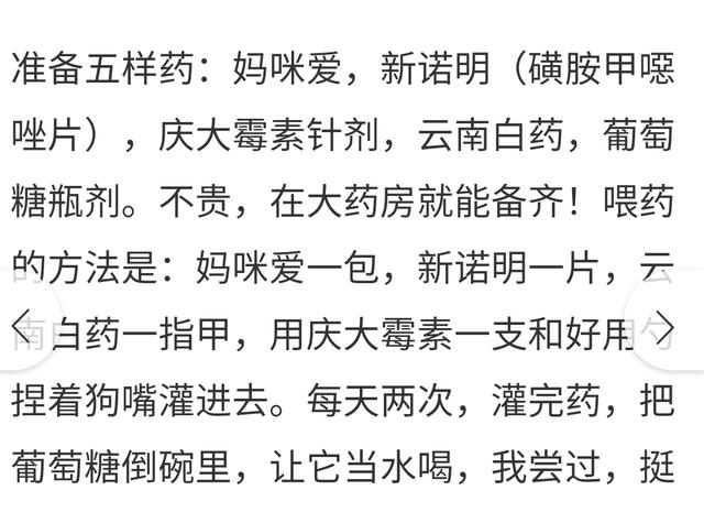 吗丁啉狗狗(吗丁啉狗狗可以用吗)-警犬训练器材厂家 _警犬训练用品_工作犬训练用品-南京开久警犬装备