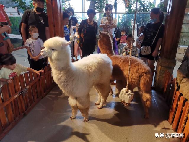 20221108105902_12074 20221108105902_12074