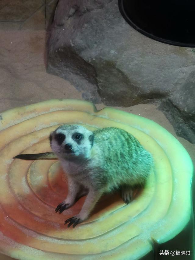 20221108105903_64054 20221108105903_64054