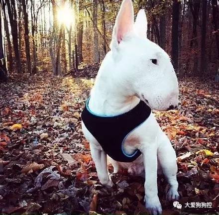 20221108134323_22633 20221108134323_22633