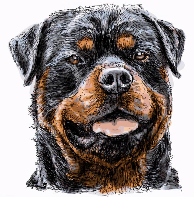 20221108142209_11405