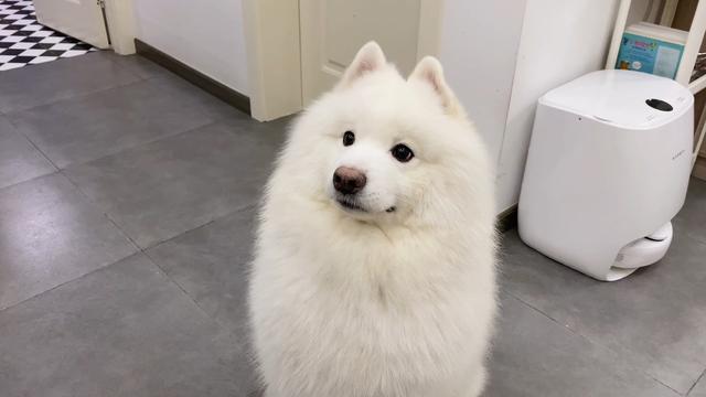 20221108143947_13778