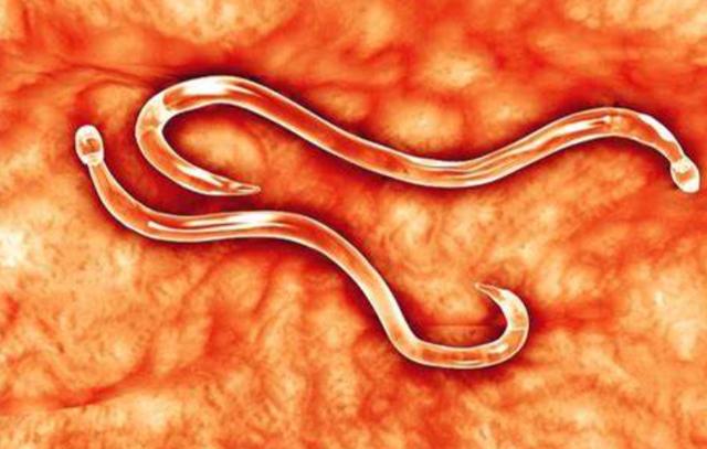 20221108160827_43630 20221108160827_43630