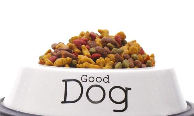 20221108160828_62194 20221108160828_62194