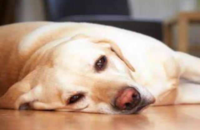 20221108160828_88544 20221108160828_88544