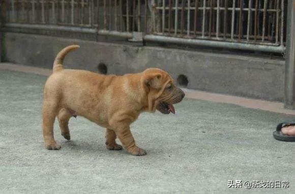 20221108161334_44660 20221108161334_44660