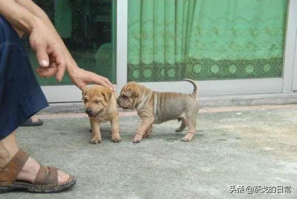 20221108161334_92231 20221108161334_92231