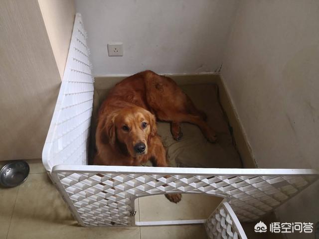 20221108170905_79123