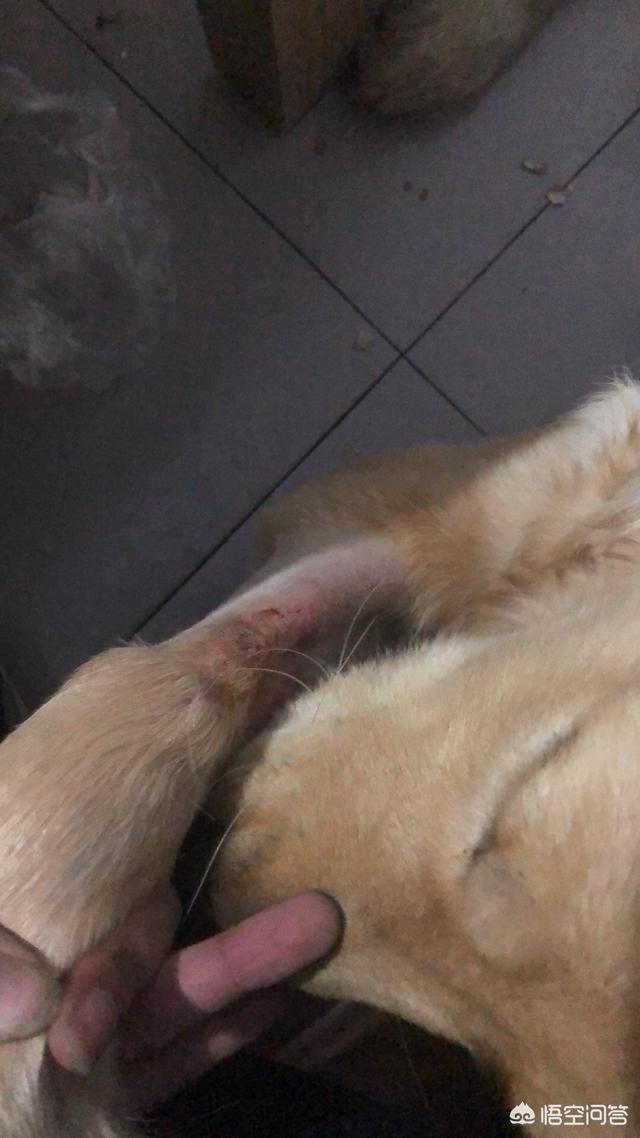 20221108175704_10969