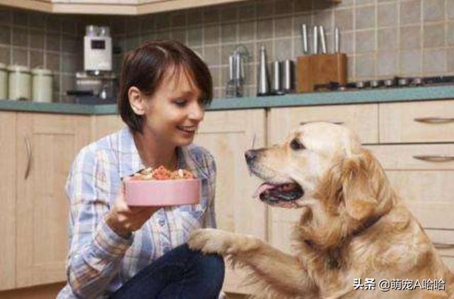 20221108180552_43643 20221108180552_43643