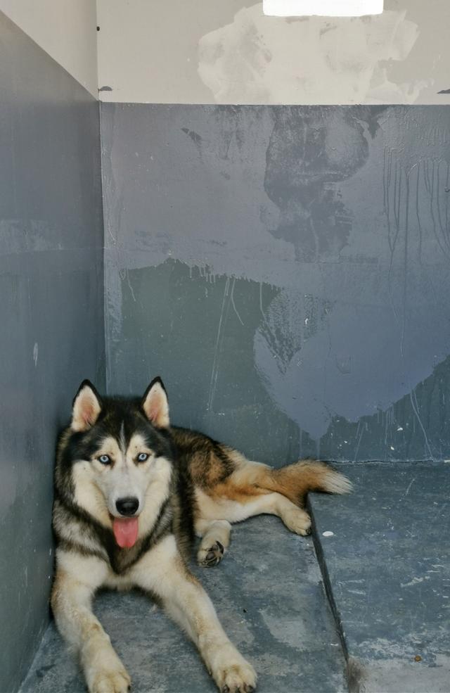 20221108182014_12770 20221108182014_12770