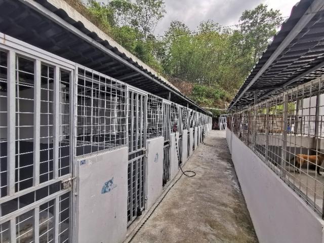 20221108182014_22456 20221108182014_22456