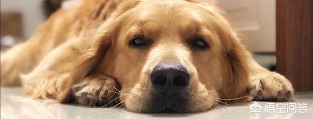 20221108193131_13484 20221108193131_13484