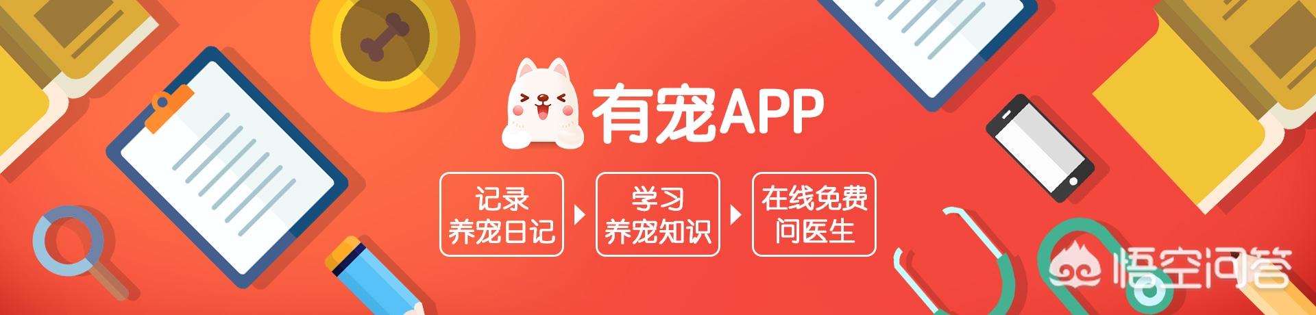 20221108193131_14065 20221108193131_14065