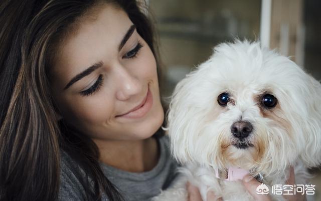 20221108195341_20078 20221108195341_20078