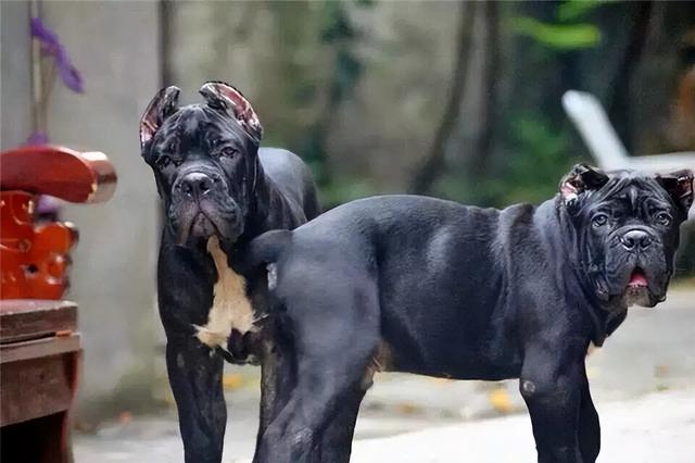 20221108200828_35906