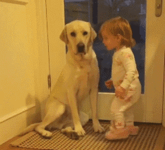 20221108200830_47705 20221108200830_47705