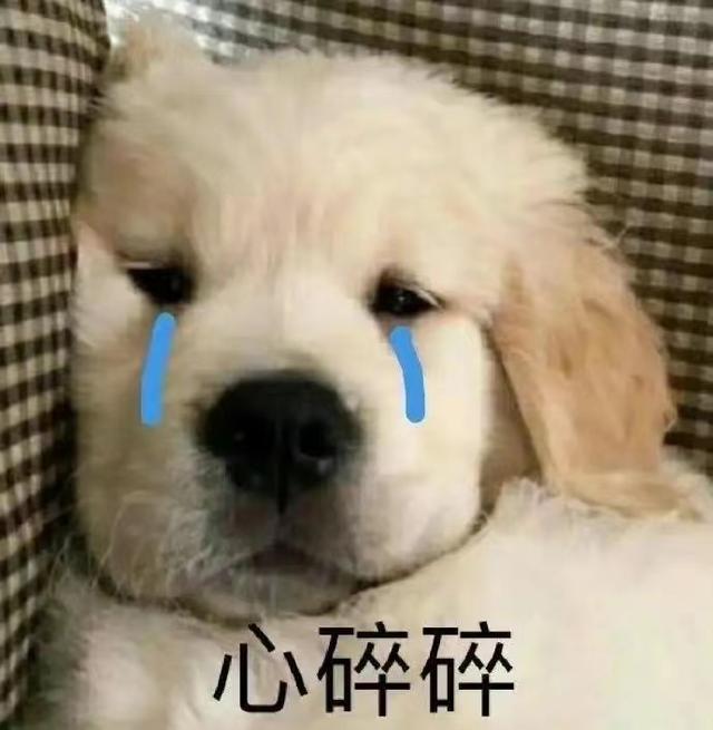 狗狗犬瘟热初期怎么治疗 *** ？狗狗犬瘟热初期症状怎么治 - 警犬训练器材厂家 _警犬训练用品_工作犬训练用品-南京开久警犬装备-警犬训练器材厂家 _警犬训练用品_工作犬训练用品-南京开久警犬装备