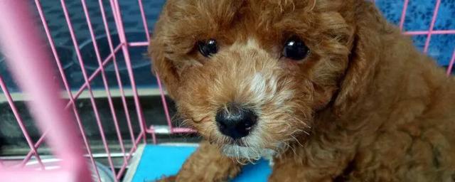 20221108201420_36445