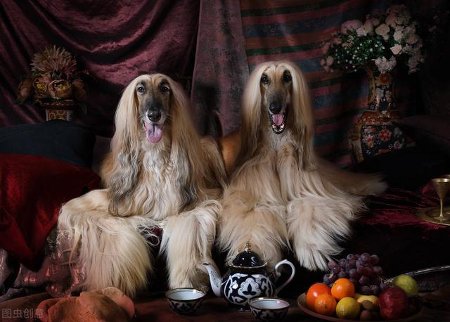 20221108201527_60465 20221108201527_60465