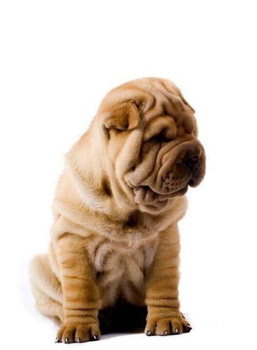 20221109090403_83640