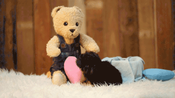 20221109102620_31854 20221109102620_31854