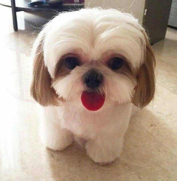 20221109102621_26388 20221109102621_26388