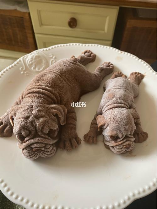 20221109102855_92421