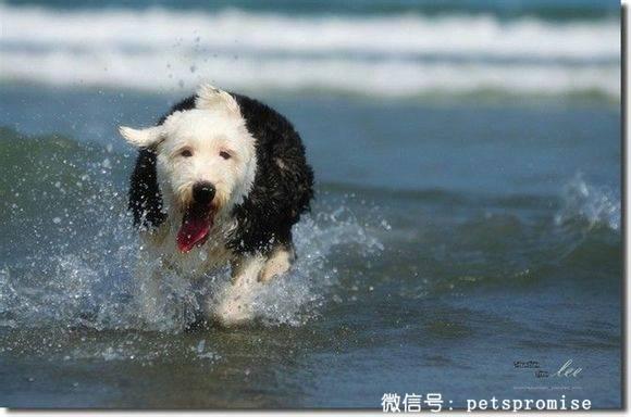 20221109124657_82794