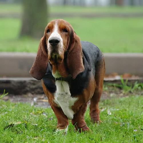 20221109133122_62724