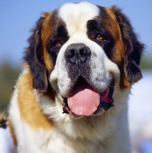 20221109133122_71854