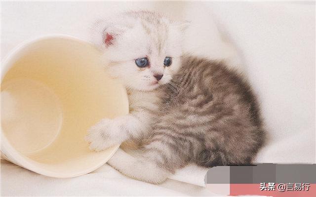 20221109142411_76379 20221109142411_76379