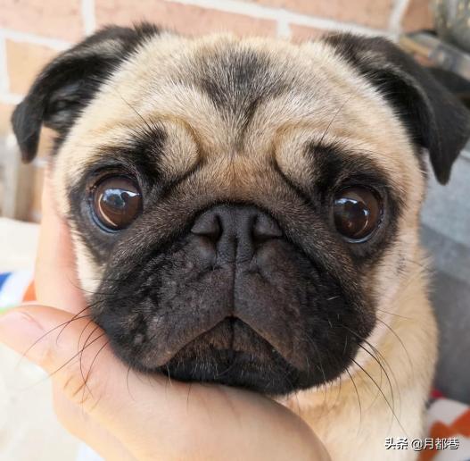 20221109150549_44505 20221109150549_44505